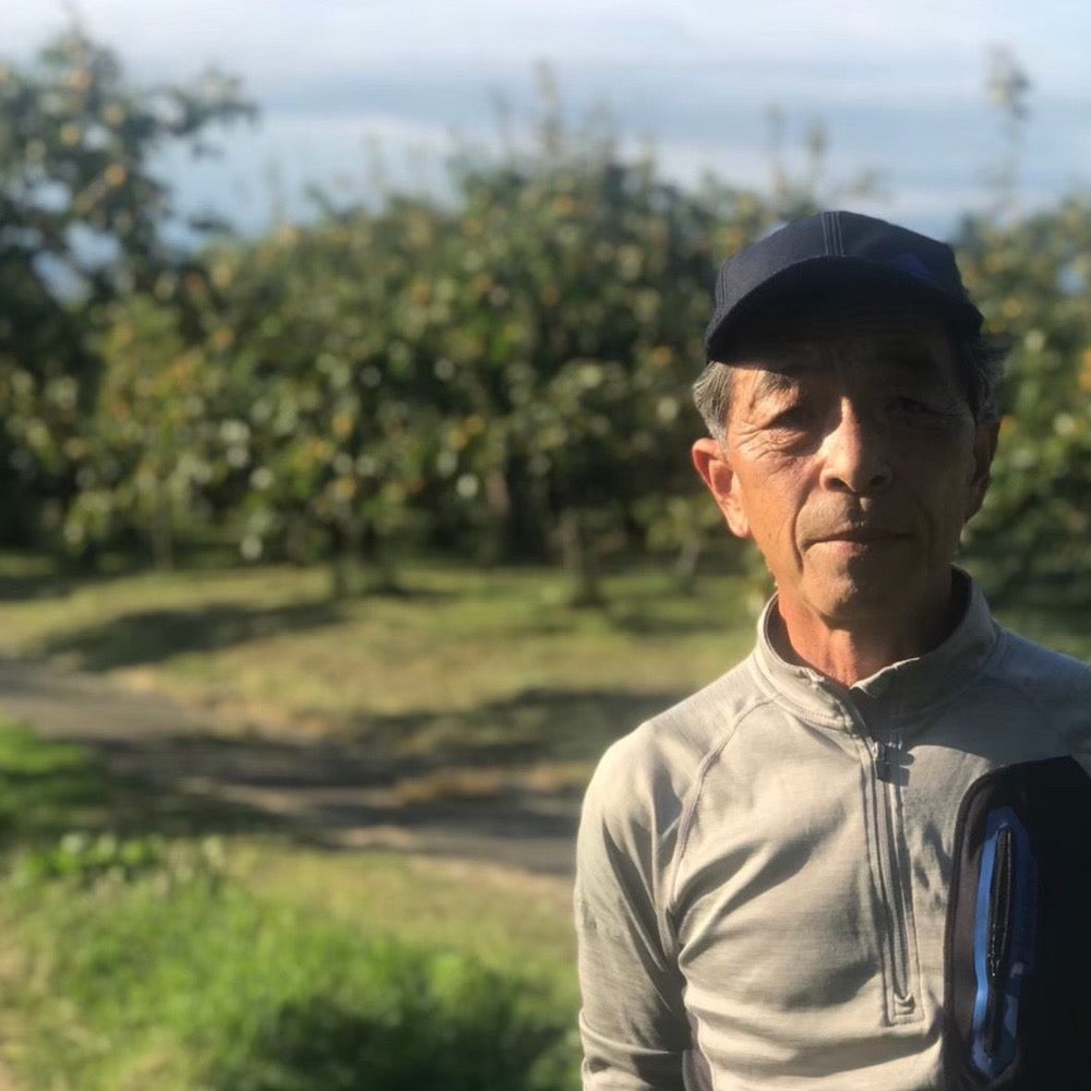 【皇室献上柿】 会津みしらずのあんぽ柿 10個入