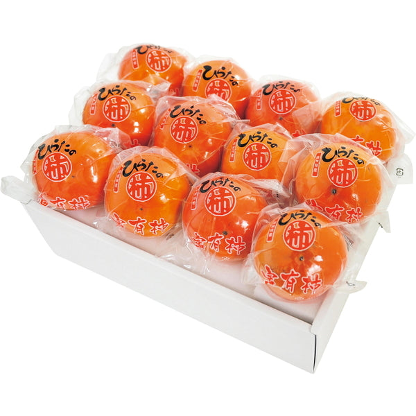 【お歳暮熨斗】ひらたの富有柿(個包装)12個