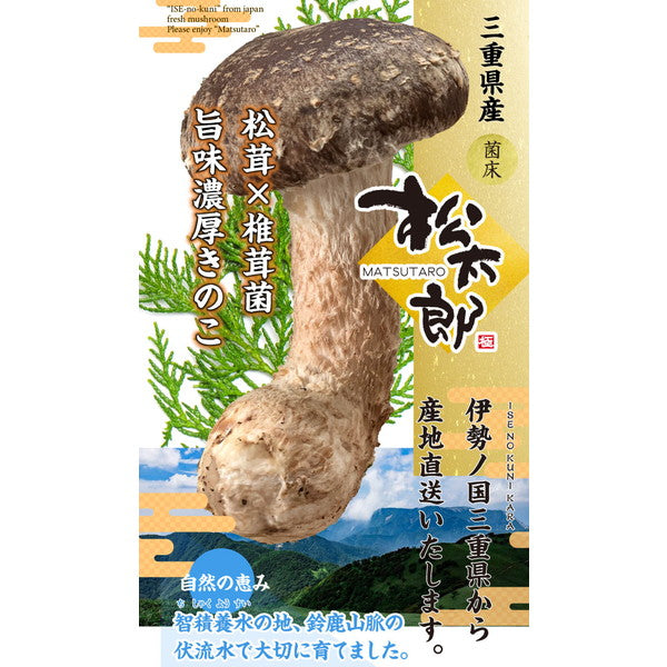 マツタケとシイタケのいいとこどり「松太郎」150g(4本から8本)×2パック