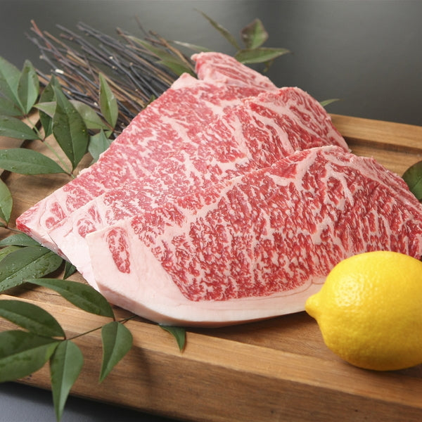 滋賀 「徳志満」 近江牛三昧セット(合計1.45kg)