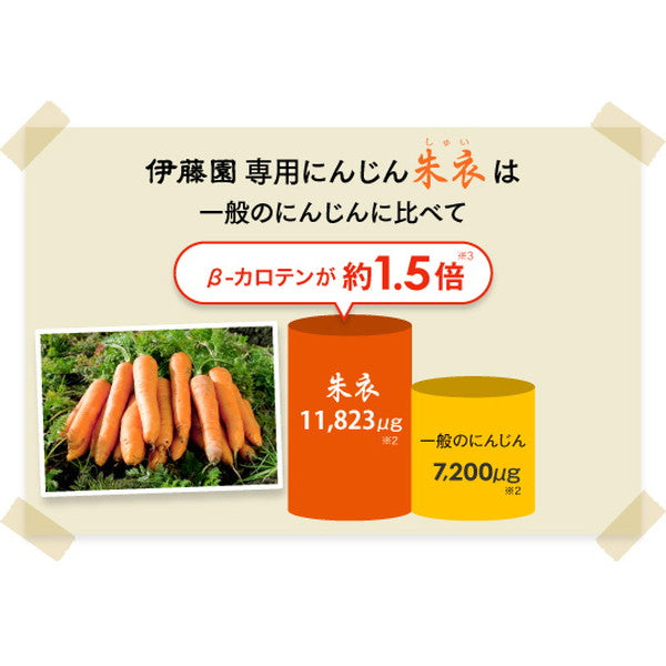 伊藤園 自然派ビタミン野菜ジュース 缶【40本(2ケース)】