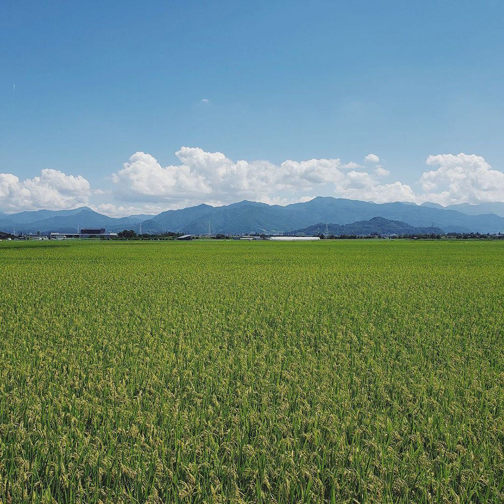 JAてんどうフーズ ラ・フランスジュース100% 160g【30缶(1ケース)】