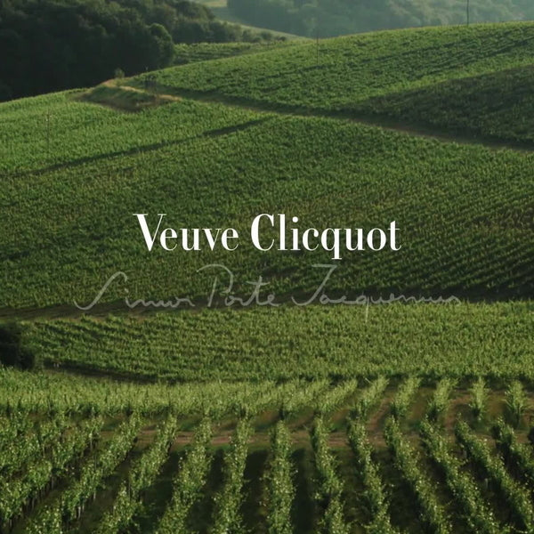 ヴーヴクリコ ブリュット ヴィンテージ 2015 750ml×6本