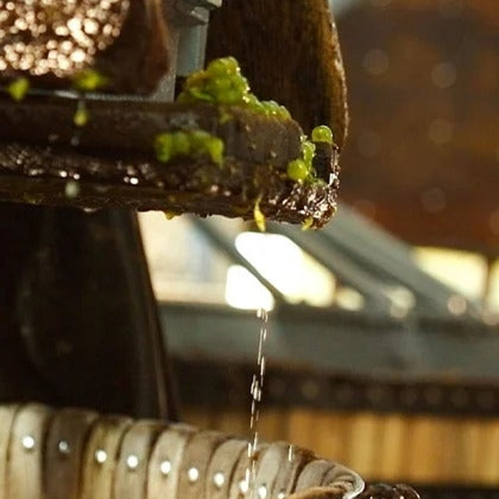 【ギフトカード】1811年創業シャンパーニュ ペリエ ジュエ グラン ブリュット エコロジカル 箱入 750ml 2本