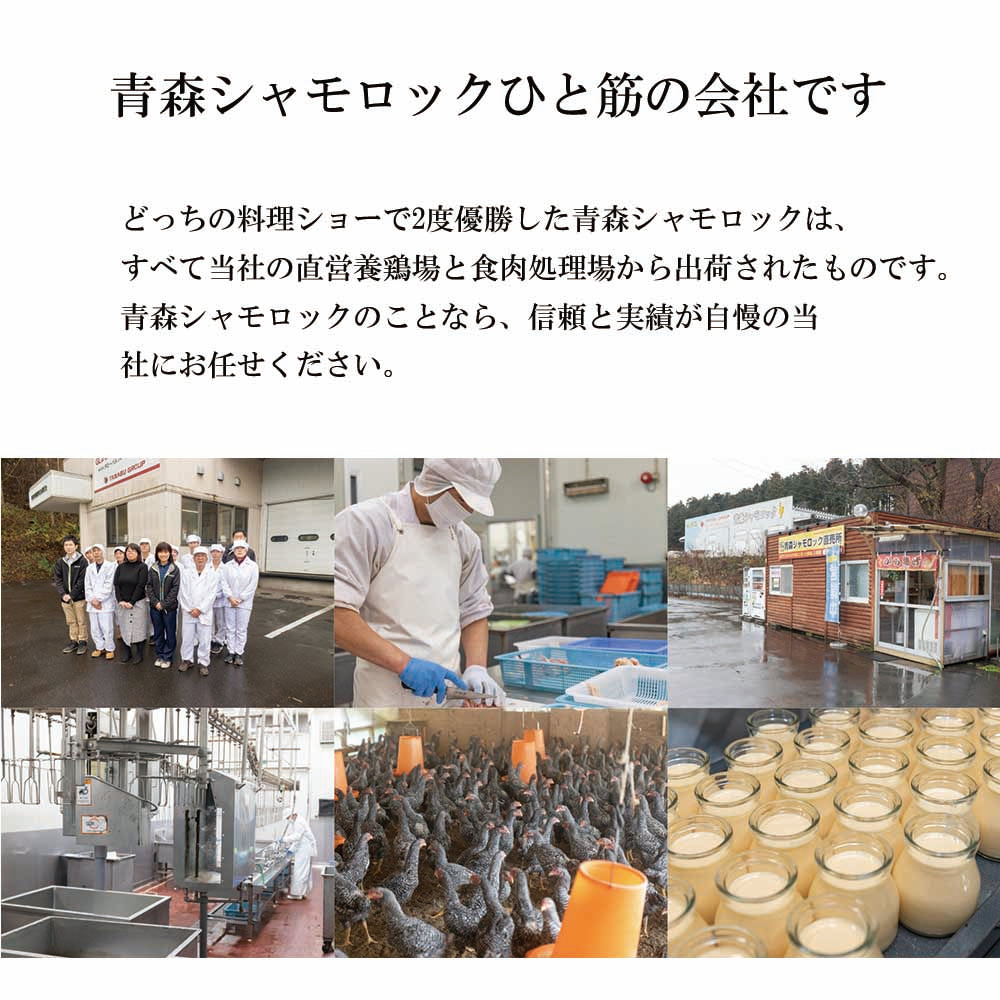 青森シャモロック シャモロックチキンカレー 【5食】