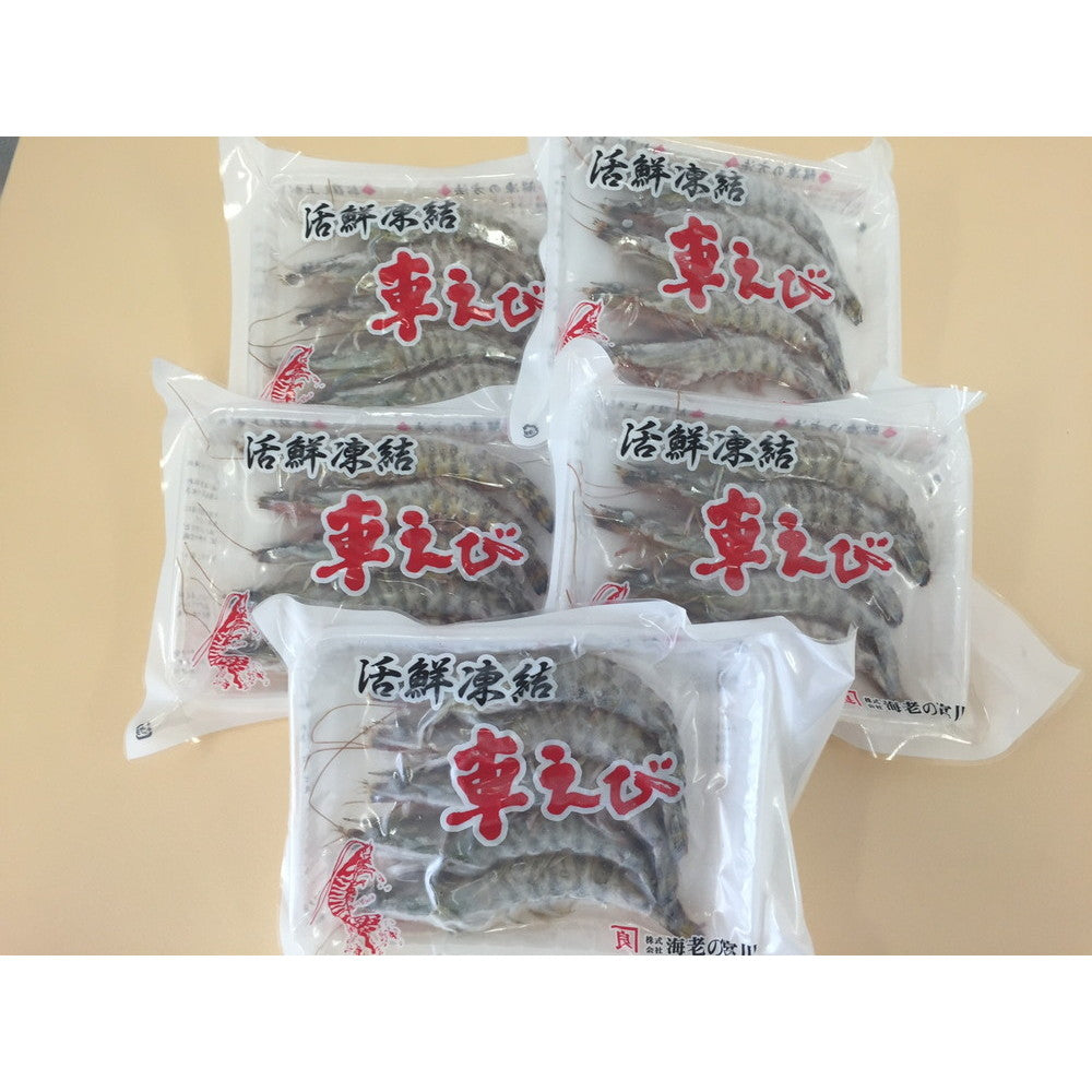 熊本・沖縄 活鮮凍結 活き〆冷凍車海老 車海老×5パック (1パックに、5尾・計約100g入)