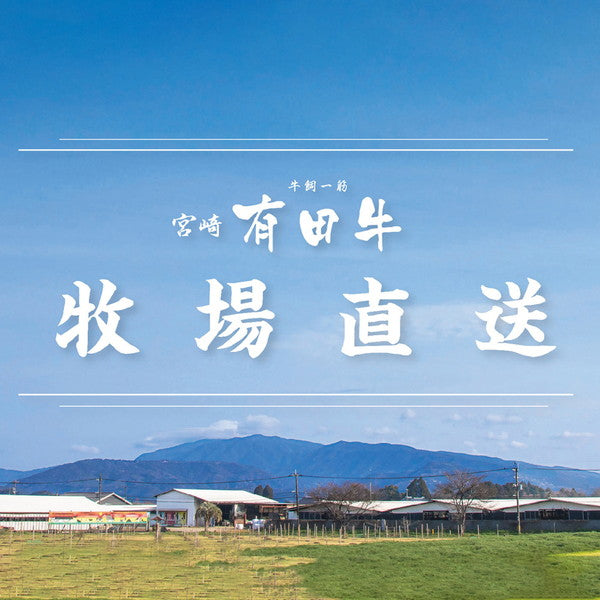 宮崎県産 有田牛 おまかせ特上焼肉(500g)