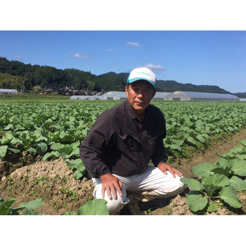 【月数量限定】丹後産 旬の野菜お試しセット 4～5種(1～2人分)