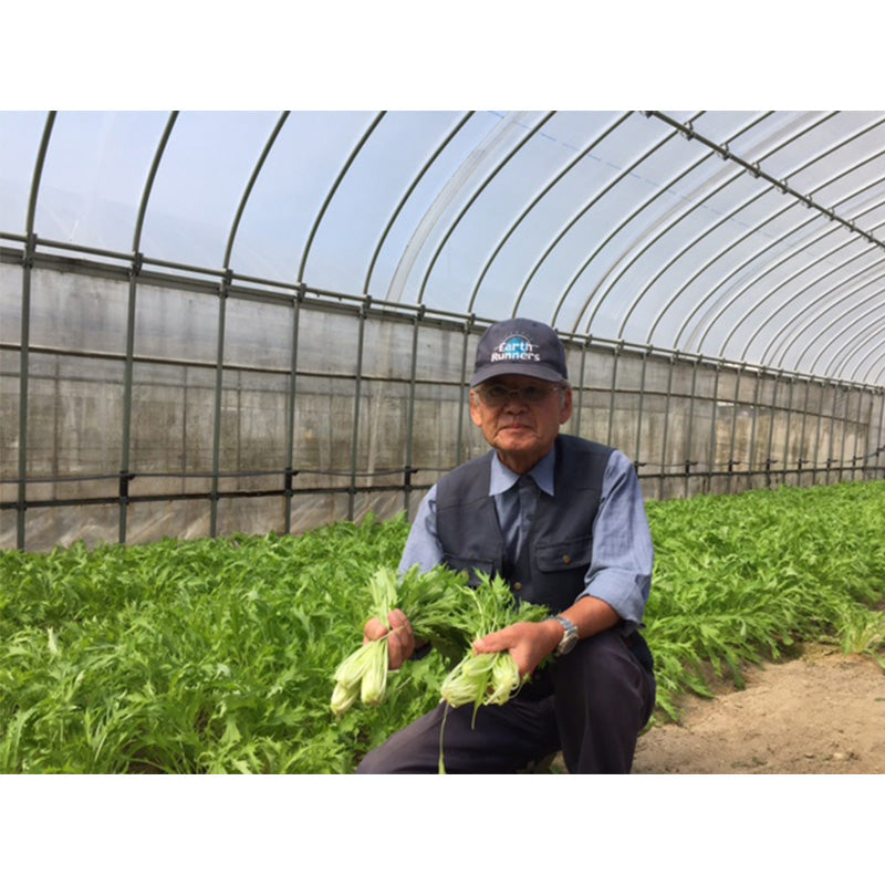 【月数量限定】丹後産 旬の野菜お試しセット 4～5種(1～2人分)