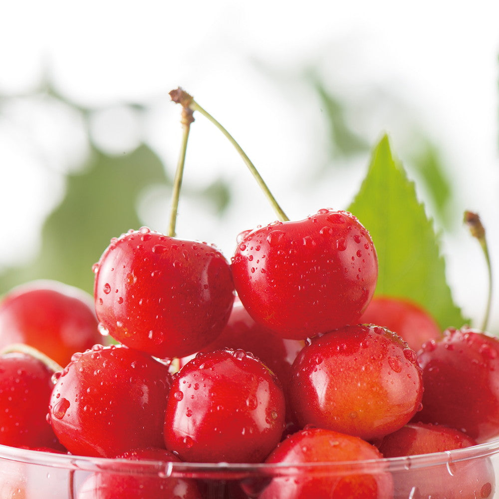 【ギフトカード】AOYAMA COLLECTION厳選（季節替わり）