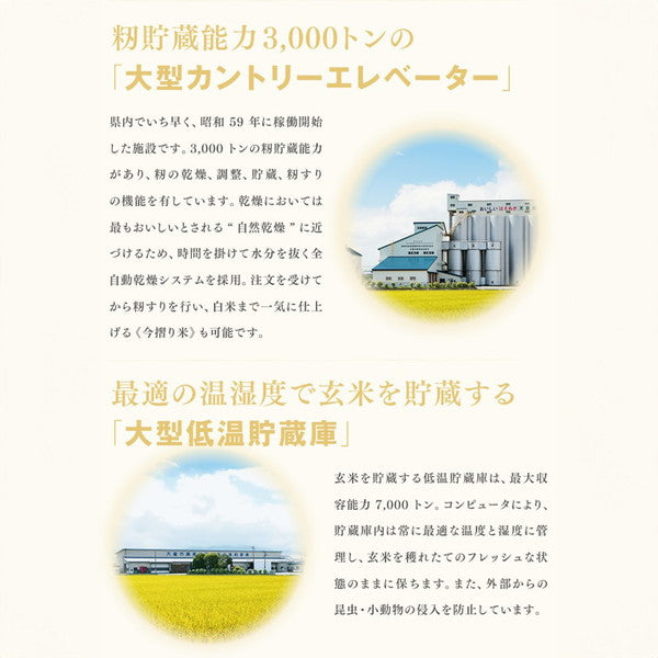 令和６年産 山形県産はえぬき 15kg(5kg×3袋）