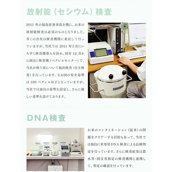 令和６年産 山形県産はえぬき 15kg(5kg×3袋）