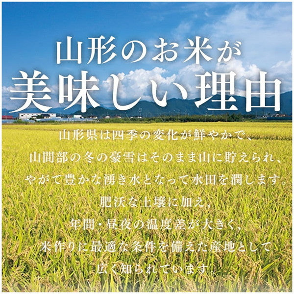 令和６年産 山形県産はえぬき 無洗米 15kg(5kg×3袋）