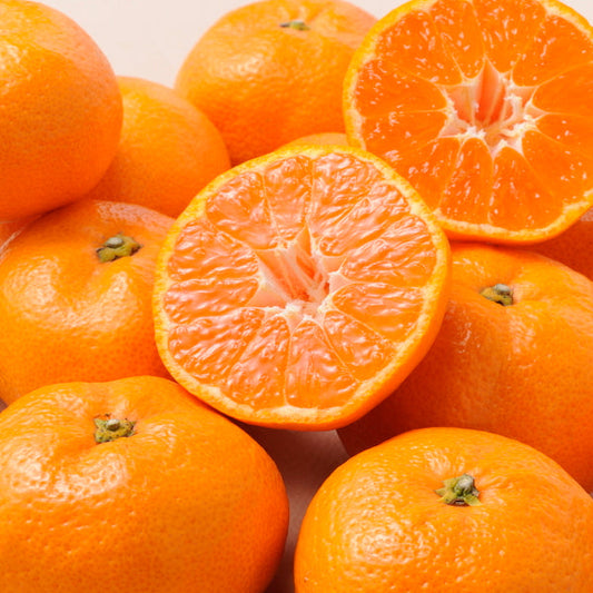 【お歳暮熨斗】愛媛みかん［２ｋｇ］