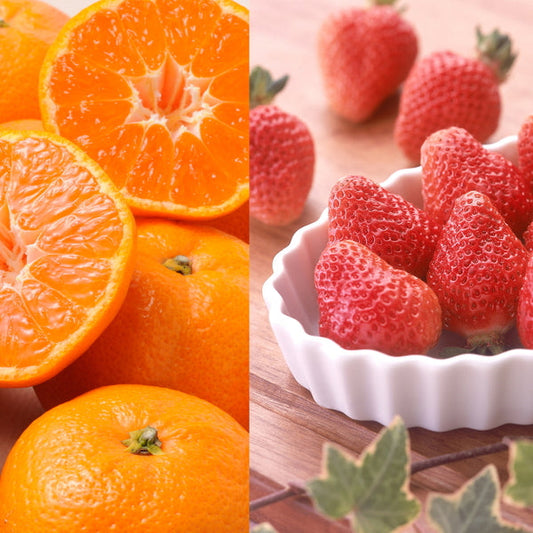 【お歳暮熨斗】いちごとみかん