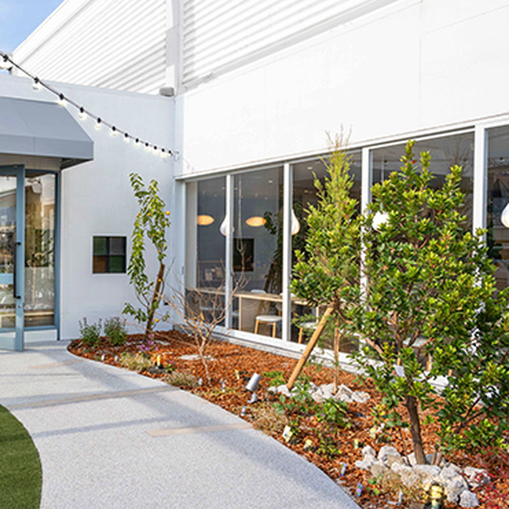 【ギフトカード】ホシフルーツ　贅沢フルーツのタルト