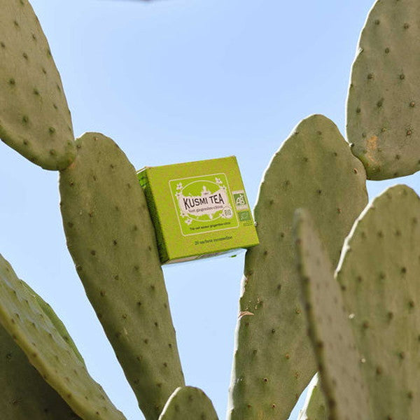 KUSMI TEA グリーンジンジャーレモン 20ティーバッグ 2個セット