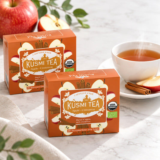 【食品ロス削減・賞味期限（2026年12月）】KUSMI TEA　アップルシナモン ハーブティー ティーバッグ【20包×2箱】