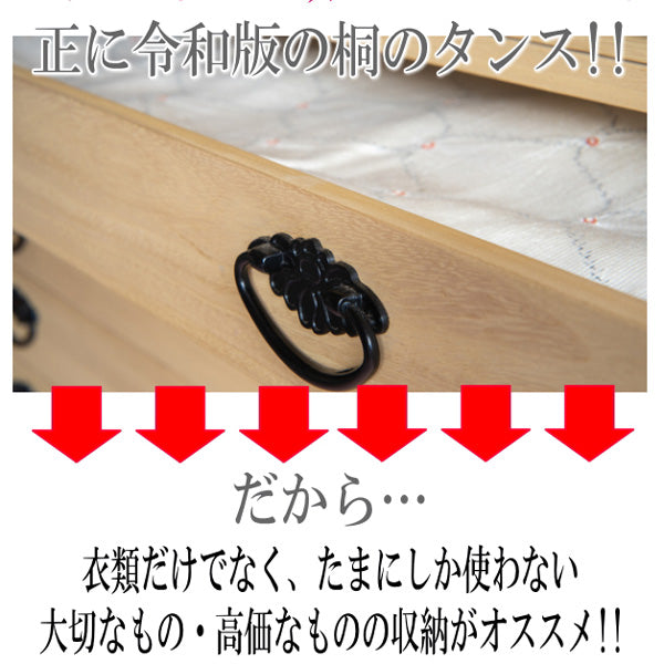 TEIJIN 乾っとデオケースLight【大サイズ】（2個セット）ベージュ