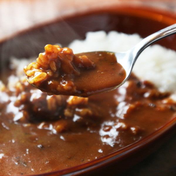 神戸牛カレー 【1人前200g×2食】