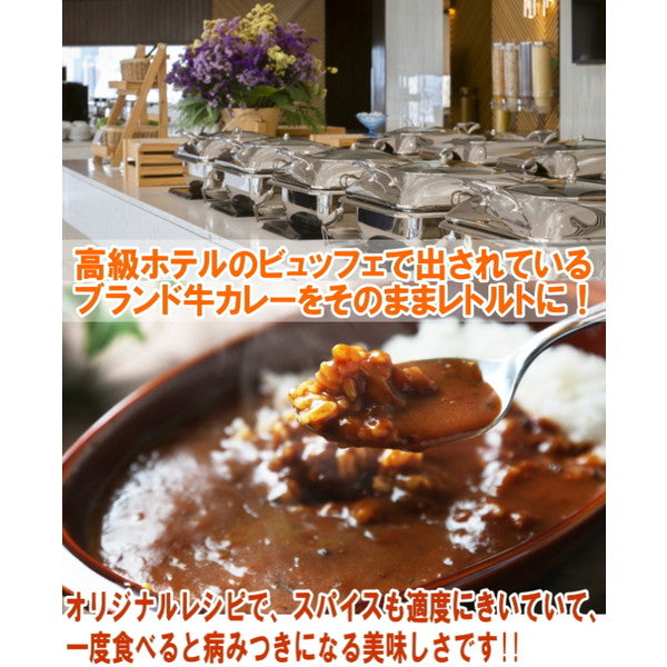 神戸牛カレー 【1人前200g×2食】