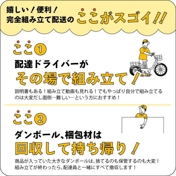 【組立配送付き】ACTIVEPLUS　ノーパンク ロータイプ電動アシスト三輪自転車