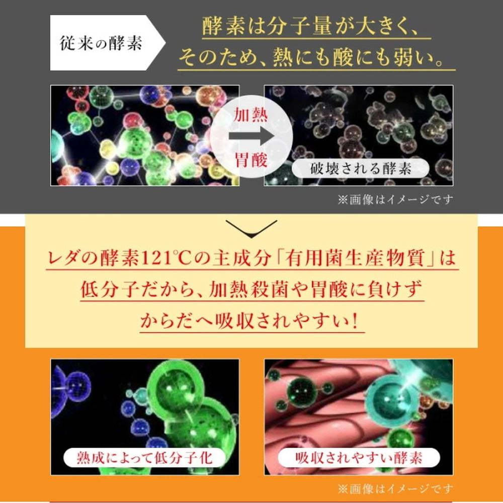 レダの酵素121℃ ナチュラルスリムドゥ 酵素ドリンク 【600mL x 1本】