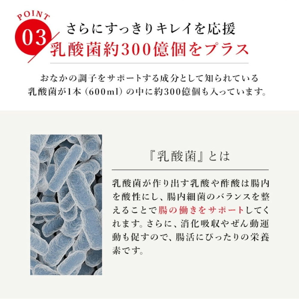 レダの酵素121℃ ナチュラルスリムドゥ 酵素ドリンク 【600mL x 1本】