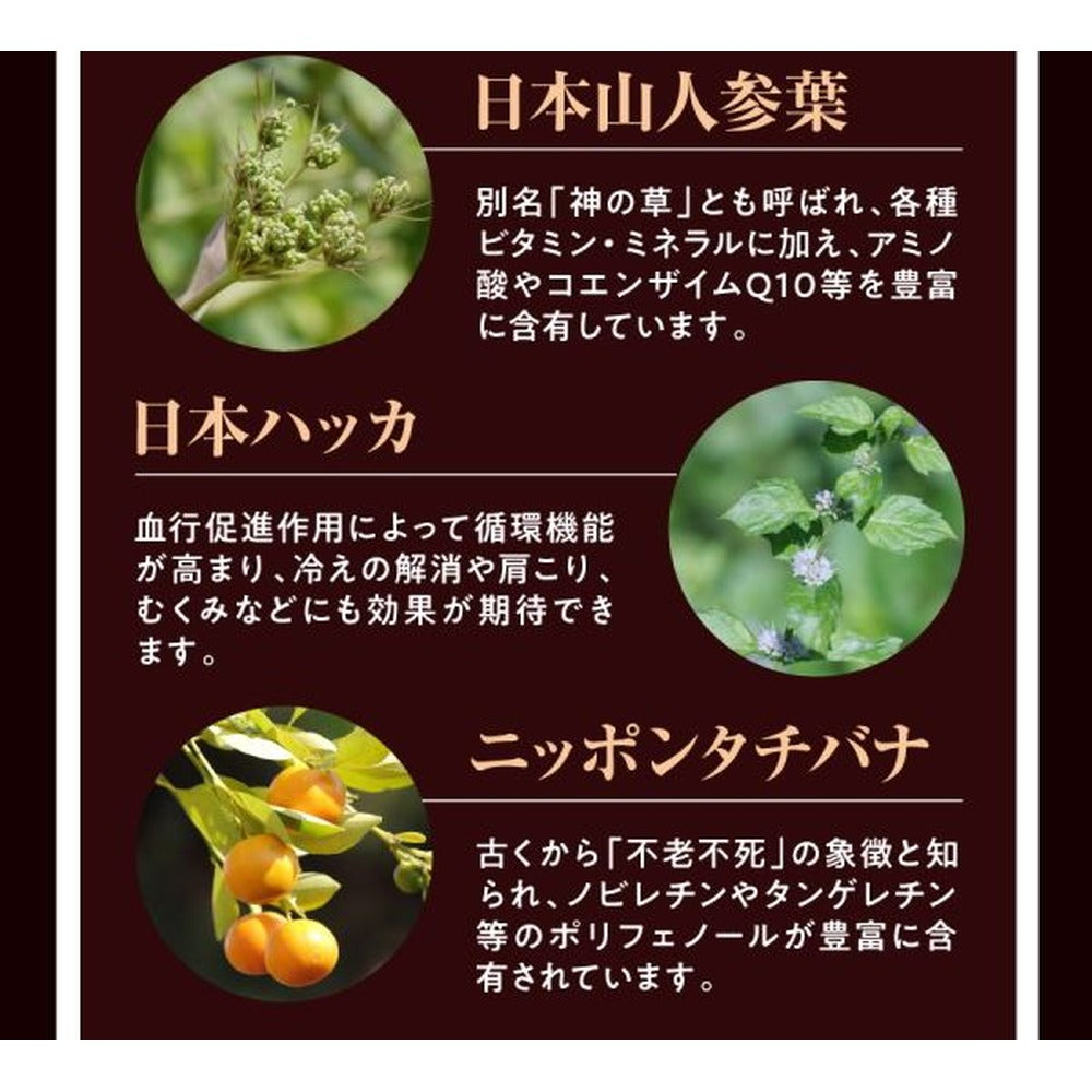 酵素女神 本生濃縮酵素ペーストPREMIUM