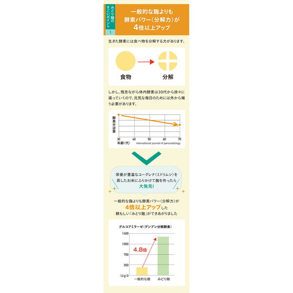 ユーグレナ みどり麹のちから120粒(1袋)