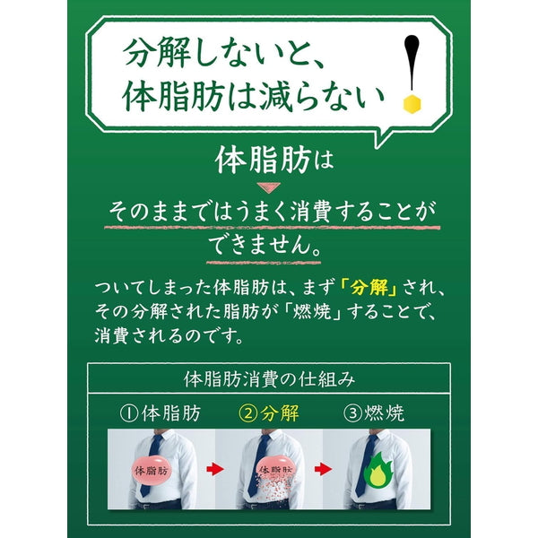 サントリー 特茶 NEWSパック5本＋お試し品1本付  500ml【48本(2ケース)】