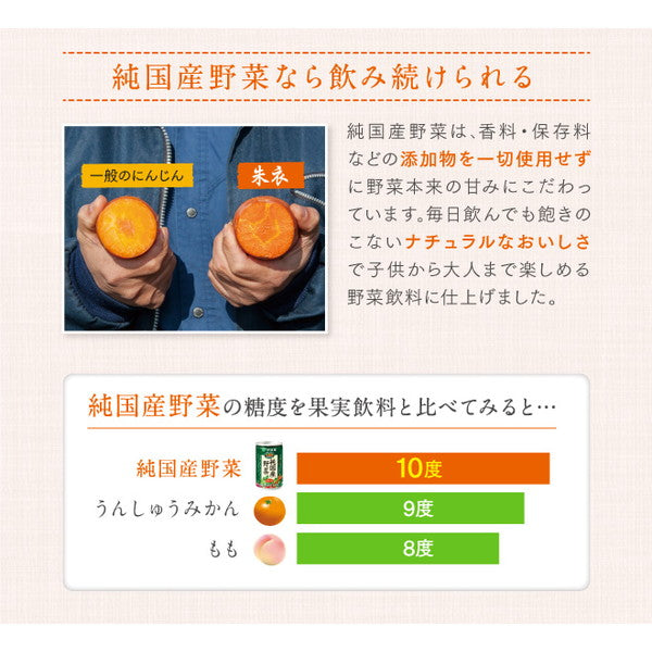 健康体 純国産野菜 (野菜350g分使用)【30本(1ケース)】