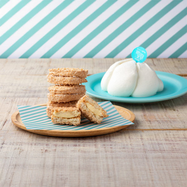 【お中元解体セール】ミルキーダックワーズ　10個入