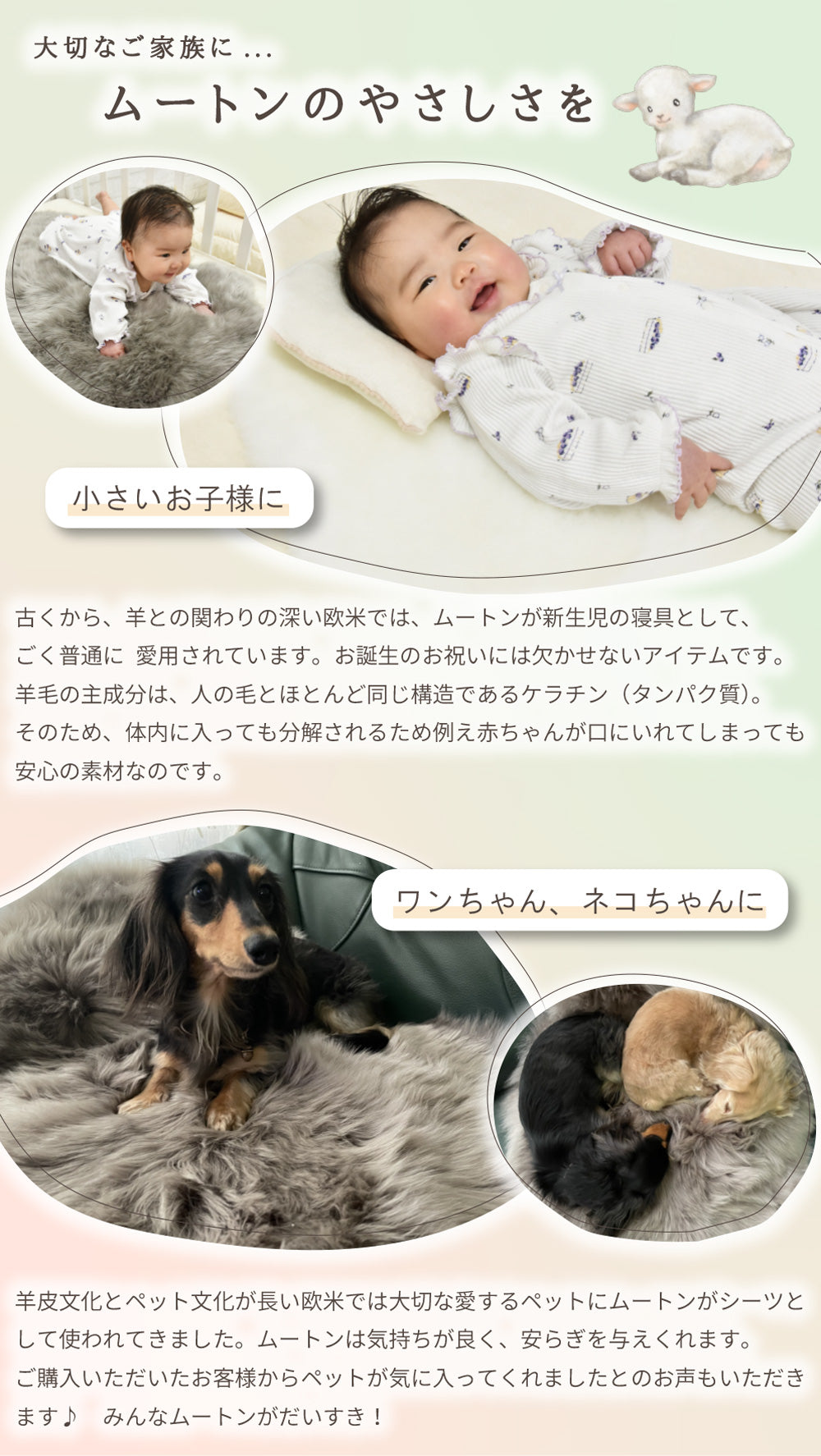 洗える 短毛 ムートンラグ 1匹サイズ ダークベージュ