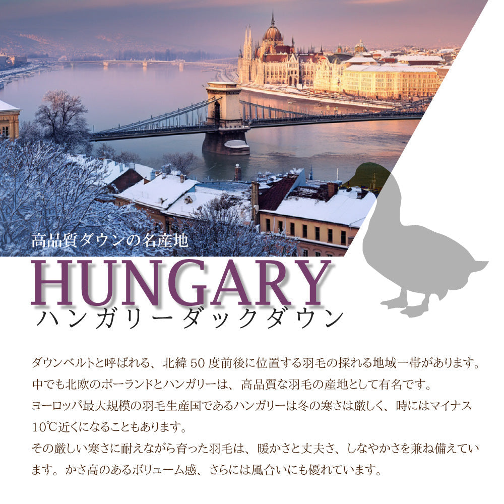 ハンガリー産ホワイトダックダウン85％ 羽毛肌掛け布団 ダブル ブルー