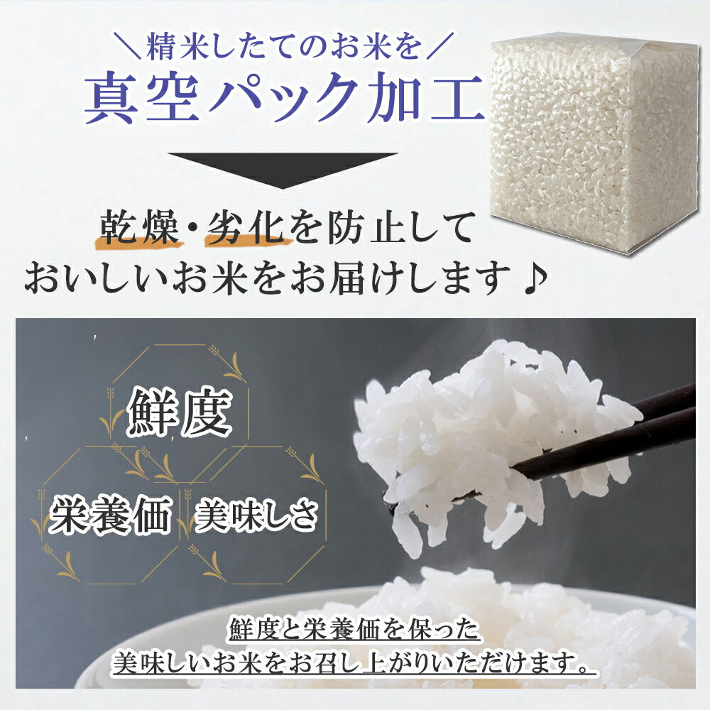 五つ星マイスター厳選・新潟こしひかり味わいギフト（8合）