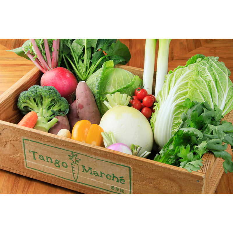 丹後産　旬の野菜たっぷりセット【野菜5～8種入】