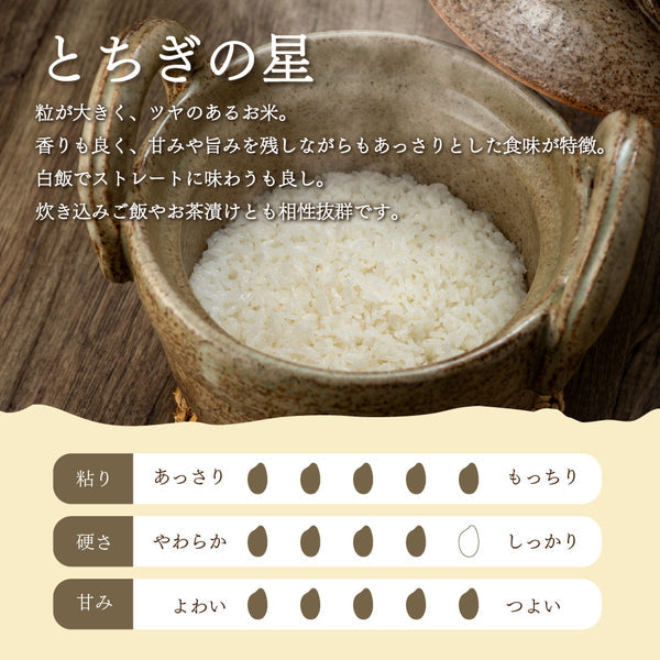 栃木県産とちぎの星 5kg×2袋（合計10kg）