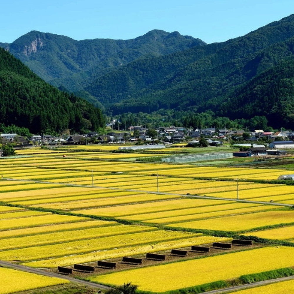 【ギフトカード】KAWABA(カワバ)川場ビールセット(ヴァイツェン4本)