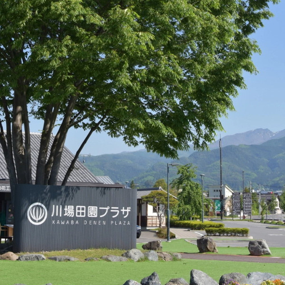 【ギフトカード】KAWABA(カワバ)川場ビール飲み比べ 2種4本(ヴァイツェン・エール各2本)