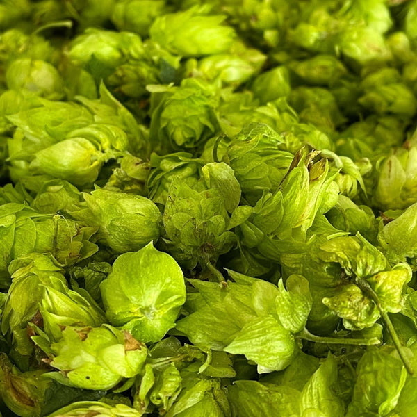 ファーイーストブルーイング Far Yeast ブロンド缶 クラフトビール 350ml【24本】