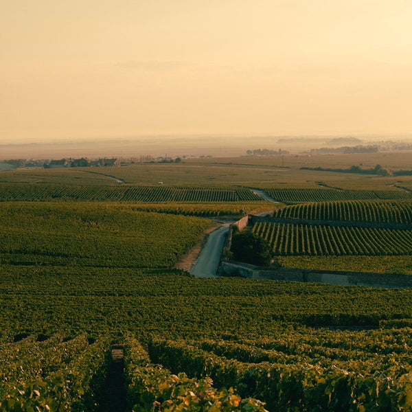 ヴーヴクリコ ブリュット ヴィンテージ 2015 750ml×3本
