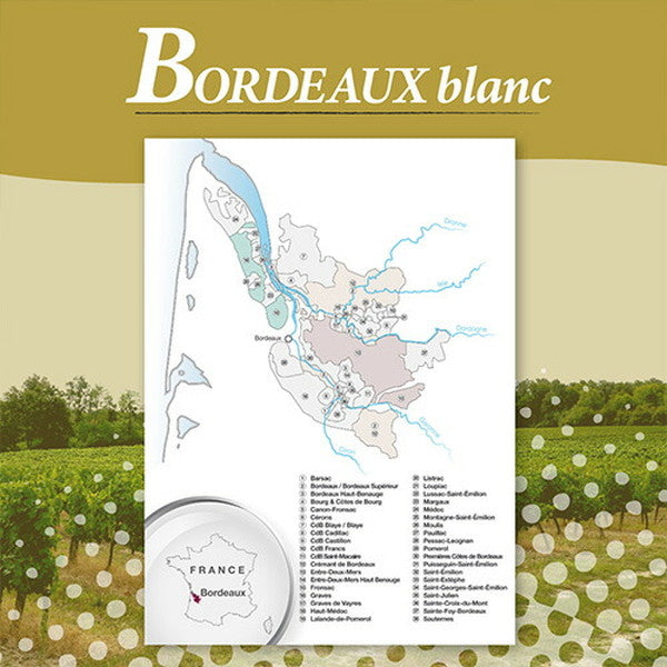 ボルドーブラン5本セット【常温便】