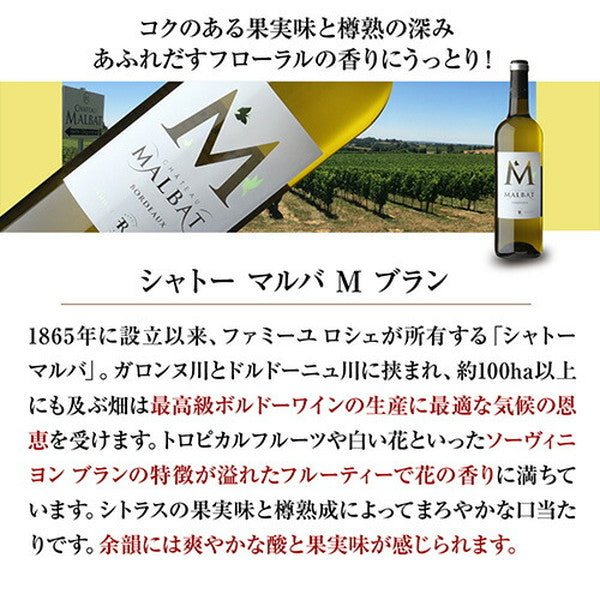 ボルドーブラン5本セット【常温便】