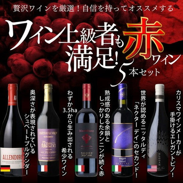 自信を持ってオススメするワイン上級者も満足！赤5本セット【常温便】