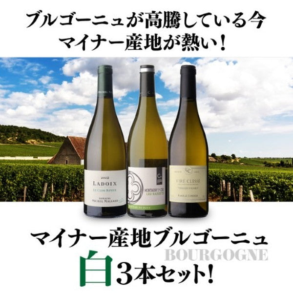 マイナーブルゴーニュ白3本セット【クール便】