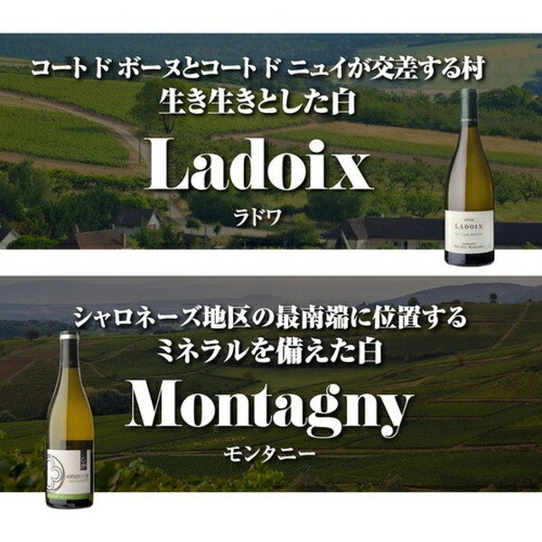 マイナーブルゴーニュ白3本セット【クール便】