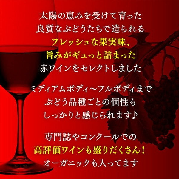 情熱のスペイン赤ワイン9本セット【常温便】