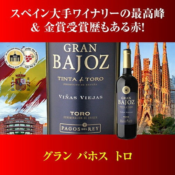 情熱のスペイン赤ワイン9本セット【常温便】