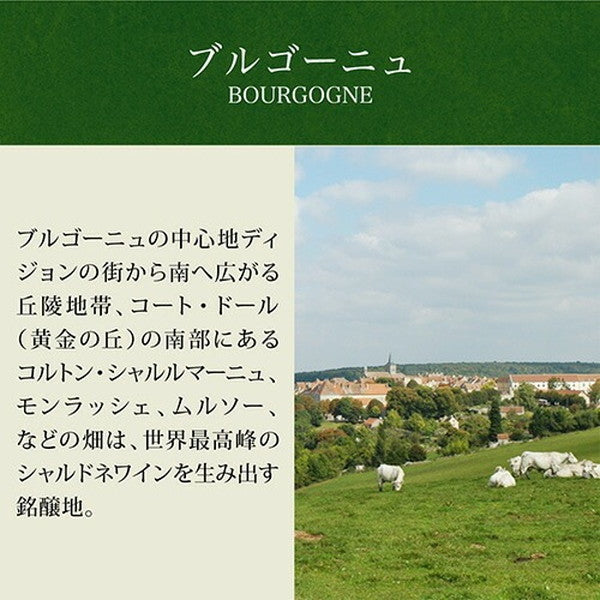 フランス産シャルドネ5本セット【常温便】